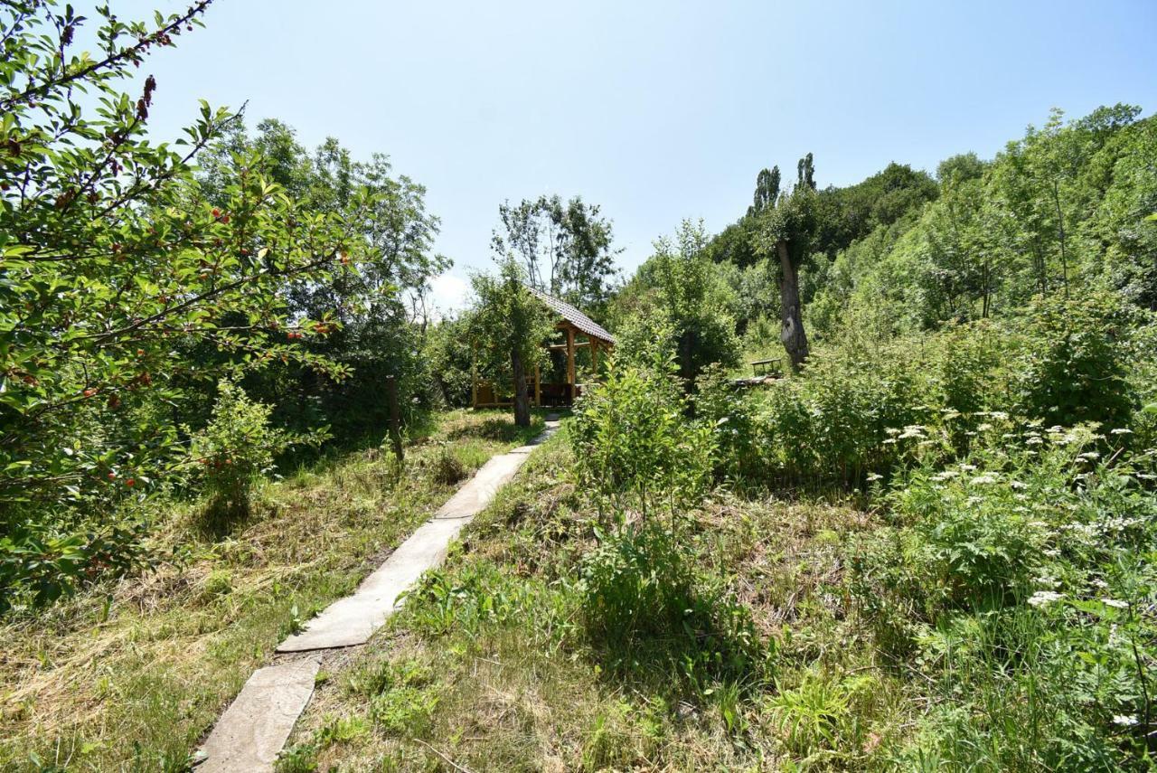 Guest House Arsan Țaghkadzor Exterior foto