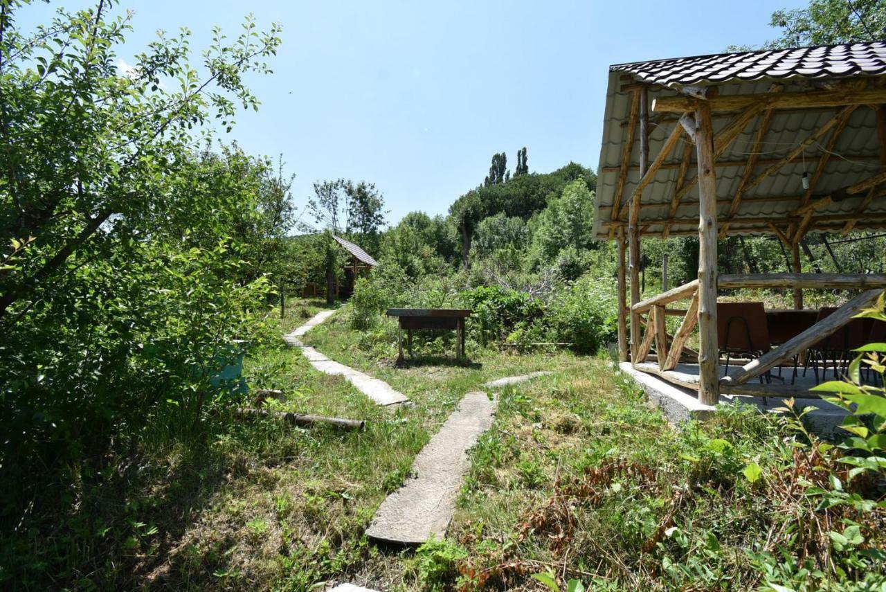 Guest House Arsan Țaghkadzor Exterior foto
